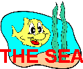 The sea